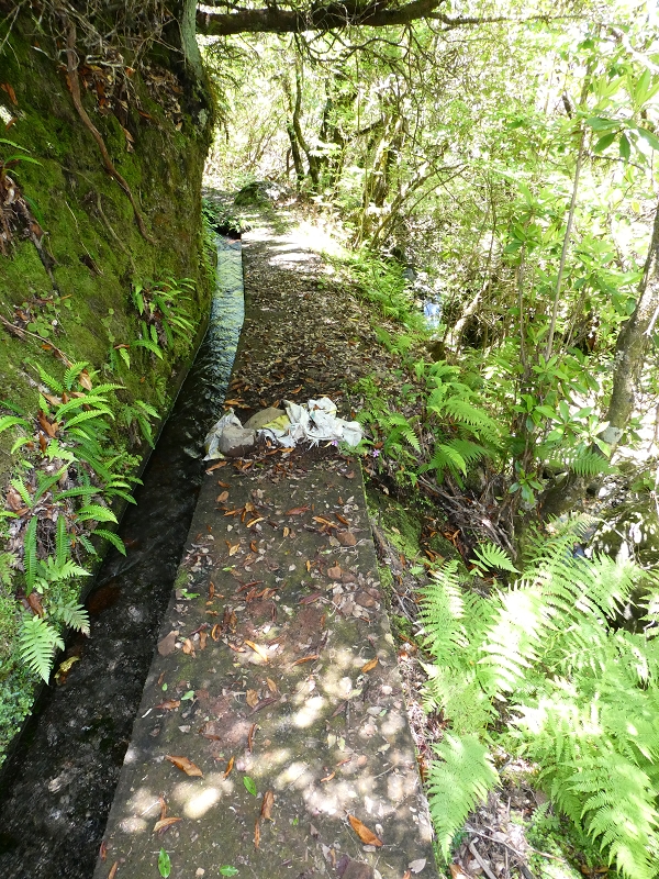 Levada dos Marinheiros — Os primeiros metros — foto 2