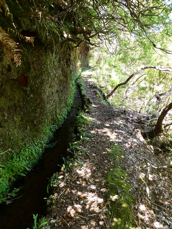 Levada dos Marinheiros — Os primeiros metros — foto 3