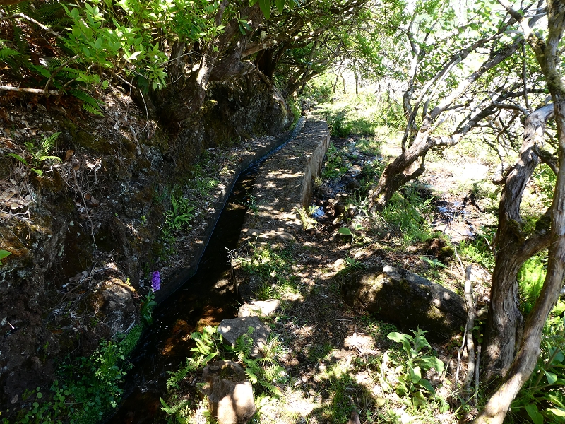 Levada dos Marinheiros — Os primeiros metros — foto 4