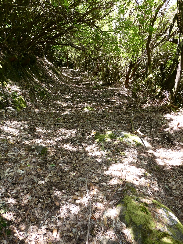 04.07.2018 Rundwanderung entlang und um die Levada dos Marinheiros — Weg zu den Schotterpisten — Foto 1