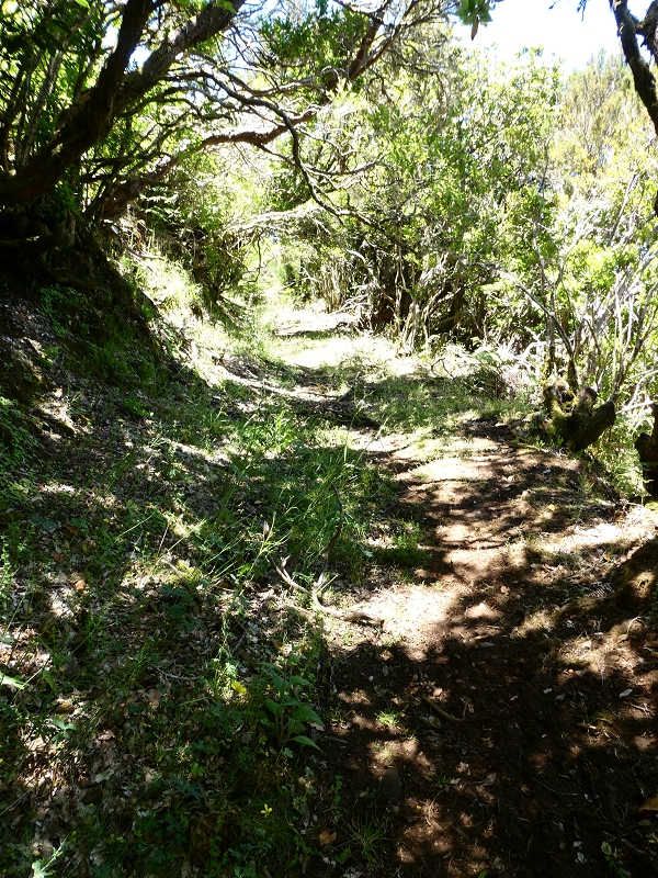 04.07.2018 Rundwanderung entlang und um die Levada dos Marinheiros — Weg zu den Schotterpisten — Foto 3