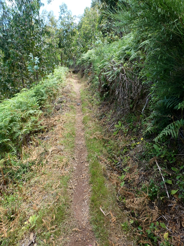 04.07.2018 Rundwanderung entlang und um die Levada dos Marinheiros — Entlang des verrohrten Abschnittes — Foto 1