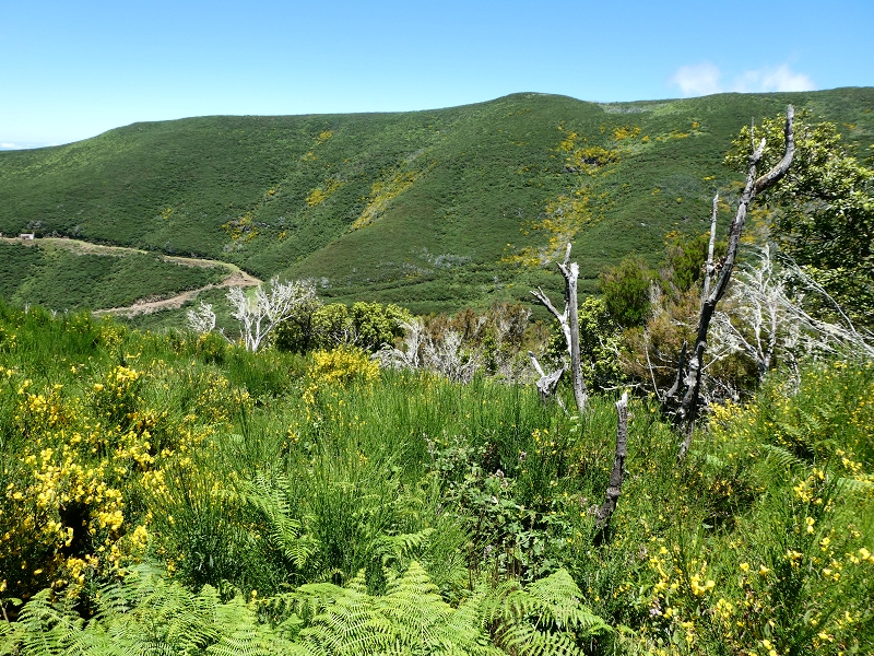 04.07.2018 Rundwanderung entlang und um die Levada dos Marinheiros — Weg zu den Schotterpisten — Foto 4