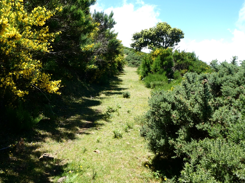 04.07.2018 Rundwanderung entlang und um die Levada dos Marinheiros — Weg zu den Schotterpisten — Foto 6
