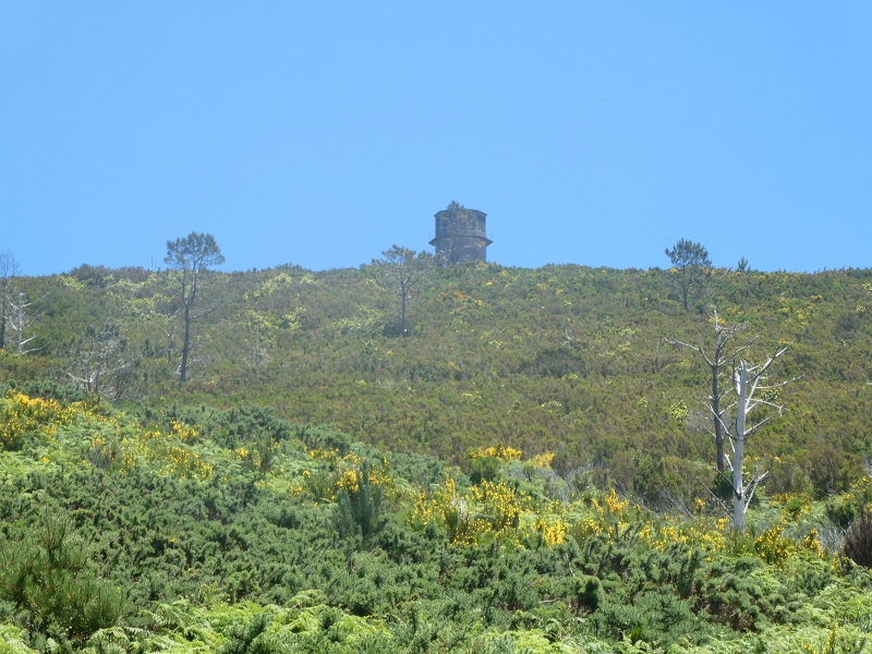 04.07.2018 Rundwanderung entlang und um die Levada dos Marinheiros — Aufstieg zur ER-210 — Foto 2