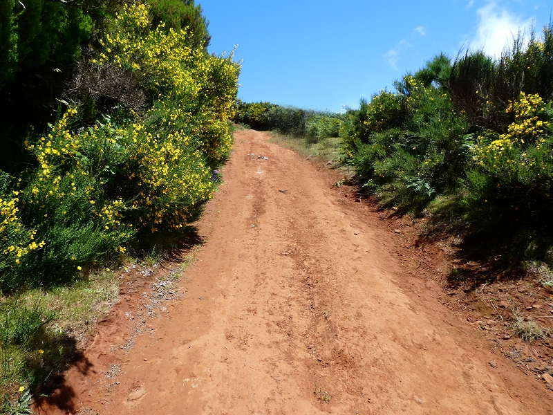 04.07.2018 Rundwanderung entlang und um die Levada dos Marinheiros — Aufstieg zur ER-210 — Foto 4