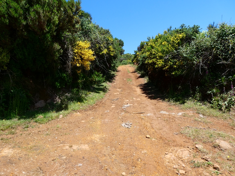 04.07.2018 Rundwanderung entlang und um die Levada dos Marinheiros — Aufstieg zur ER-210 — Foto 5