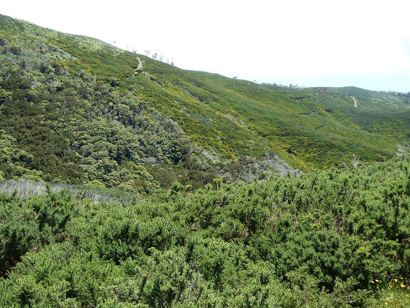 04.07.2018 Rundwanderung entlang und um die Levada dos Marinheiros — Abstieg auf Schotterpisten nach Lombada dos Marinheiros — Foto 2