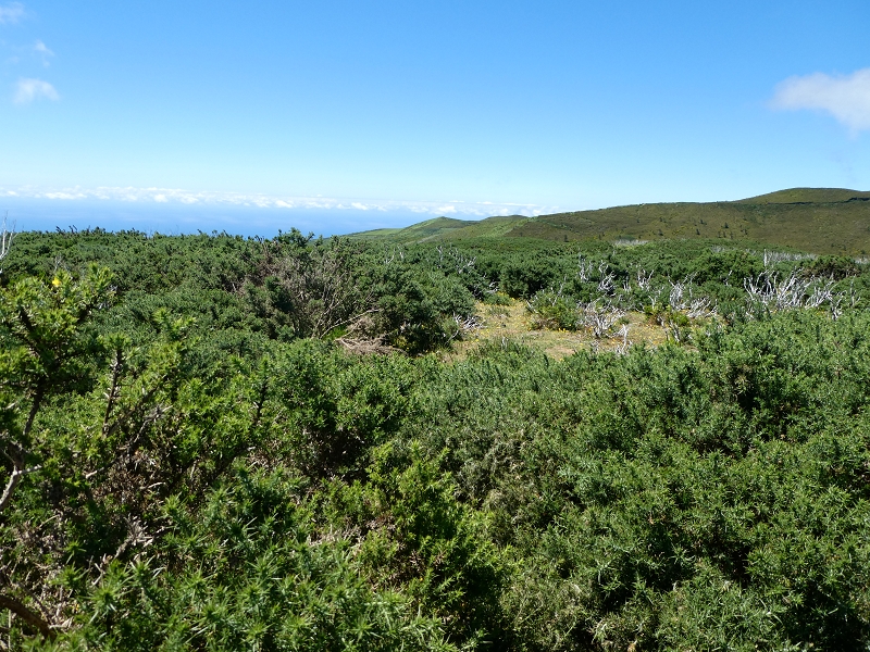 04.07.2018 Rundwanderung entlang und um die Levada dos Marinheiros — Abstieg auf Schotterpisten nach Lombada dos Marinheiros — Foto 5