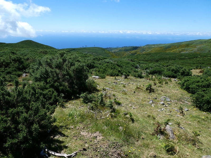 04.07.2018 Rundwanderung entlang und um die Levada dos Marinheiros — Abstieg auf Schotterpisten nach Lombada dos Marinheiros — Foto 6
