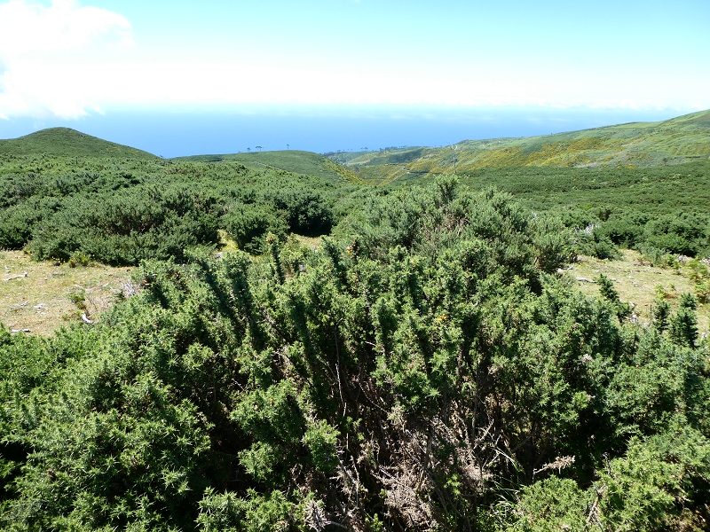 04.07.2018 Rundwanderung entlang und um die Levada dos Marinheiros — Abstieg auf Schotterpisten nach Lombada dos Marinheiros — Foto 7
