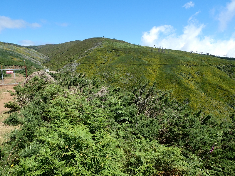 04.07.2018 Rundwanderung entlang und um die Levada dos Marinheiros — Abstieg auf Schotterpisten nach Lombada dos Marinheiros — Foto 9