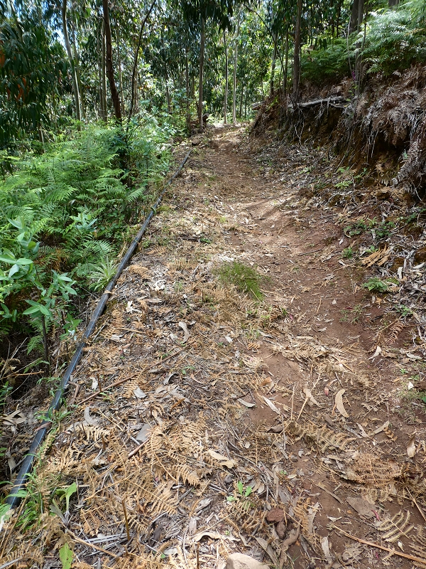 04.07.2018 Rundwanderung entlang und um die Levada dos Marinheiros — Entlang des verrohrten Abschnittes — Foto 3