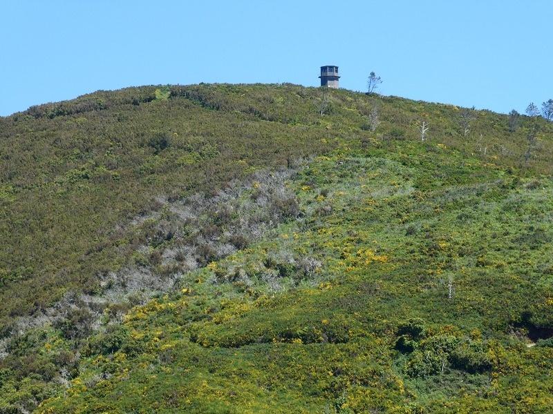 04.07.2018 Rundwanderung entlang und um die Levada dos Marinheiros — Abstieg auf Schotterpisten nach Lombada dos Marinheiros — Foto 10
