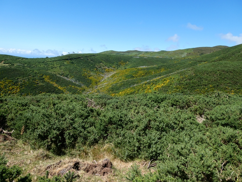 04.07.2018 Rundwanderung entlang und um die Levada dos Marinheiros — Abstieg auf Schotterpisten nach Lombada dos Marinheiros — Foto 13