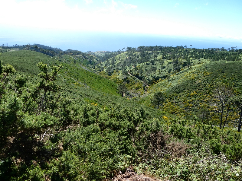 04.07.2018 Rundwanderung entlang und um die Levada dos Marinheiros — Abstieg auf Schotterpisten nach Lombada dos Marinheiros — Foto 14