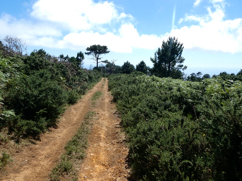 04.07.2018 Rundwanderung entlang und um die Levada dos Marinheiros — Abstieg auf Schotterpisten nach Lombada dos Marinheiros — Foto 15