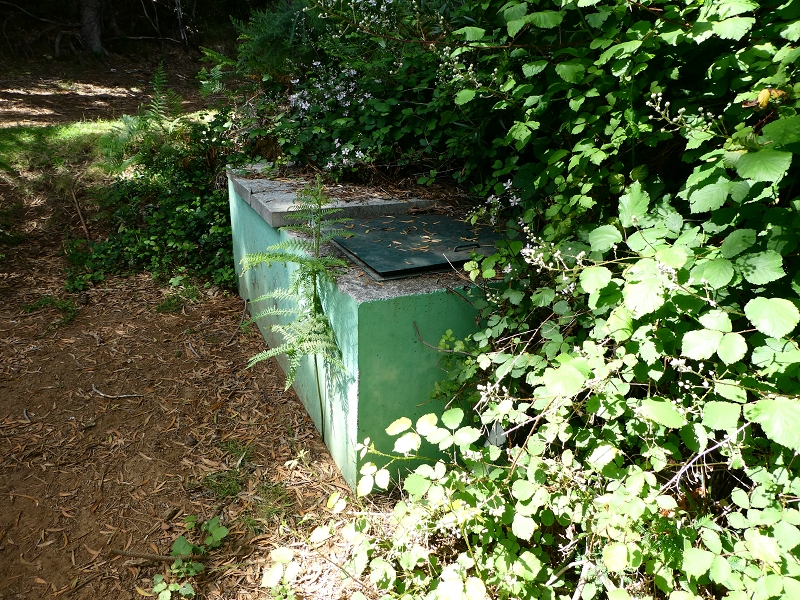 04.07.2018 Rundwanderung entlang und um die Levada dos Marinheiros — Abstieg auf Schotterpisten nach Lombada dos Marinheiros — Foto 17