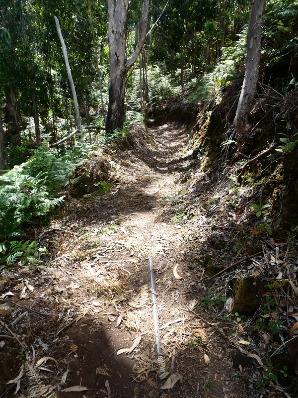 Levada dos Marinheiros — Entubado até ao reservatório — foto 4