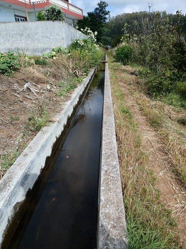 04.07.2018 Rundwanderung entlang und um die Levada dos Marinheiros — Auf der Levada Nova — Foto 3
