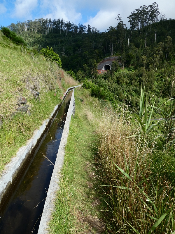 04.07.2018 Rundwanderung entlang und um die Levada dos Marinheiros — Auf der Levada Nova — Foto 8