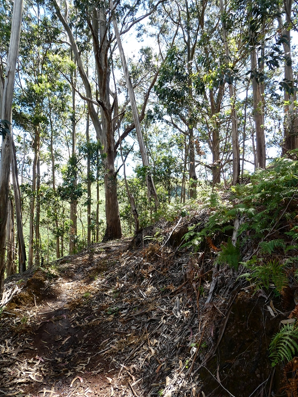 Levada dos Marinheiros — Entubado até ao reservatório — foto 3