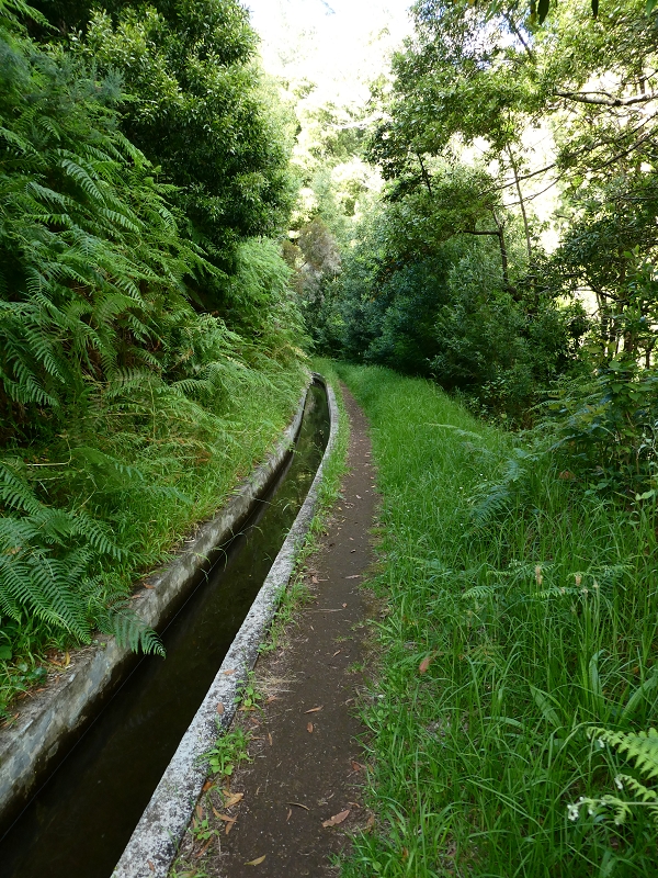 04.07.2018 Rundwanderung entlang und um die Levada dos Marinheiros — Auf der Levada Nova — Foto 9