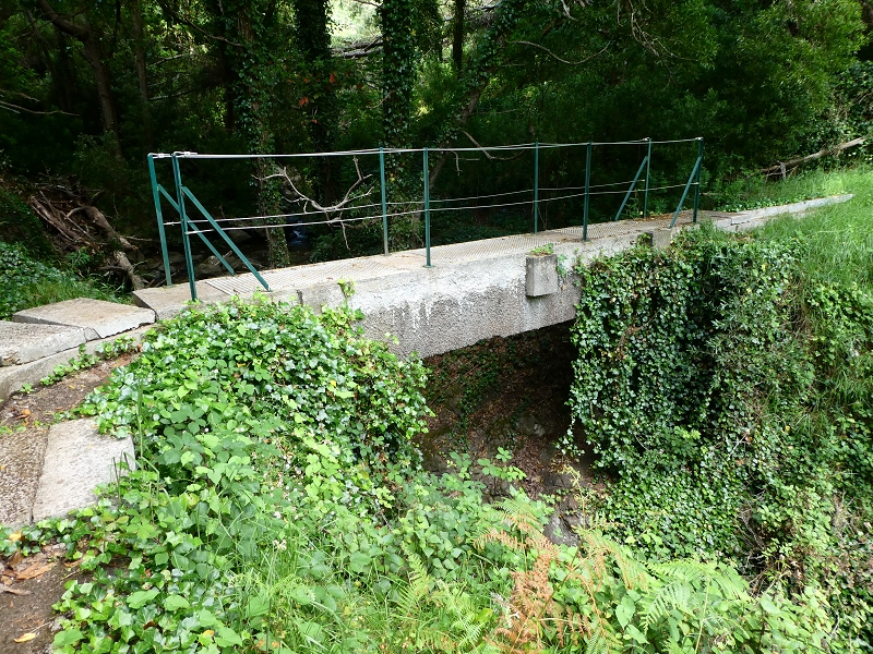 04.07.2018 Rundwanderung entlang und um die Levada dos Marinheiros — Auf der Levada Nova — Foto 10