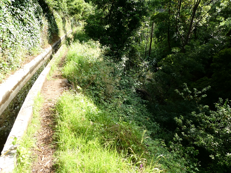 Levada Nova — Abschnitt zwischen Faja da Ovelha und Lombada dos Marinheiros — Foto 10
