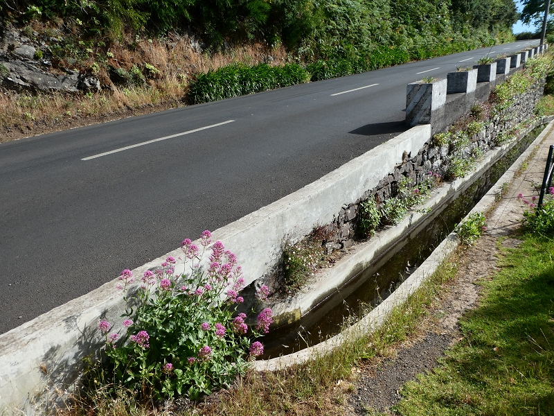 Levada Nova — Abschnitt zwischen Faja da Ovelha und Lombada dos Marinheiros — Foto 12