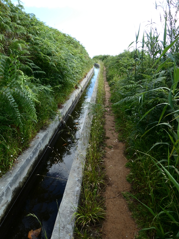 Levada Nova — Abschnitt zwischen Faja da Ovelha und Lombada dos Marinheiros — Foto 13