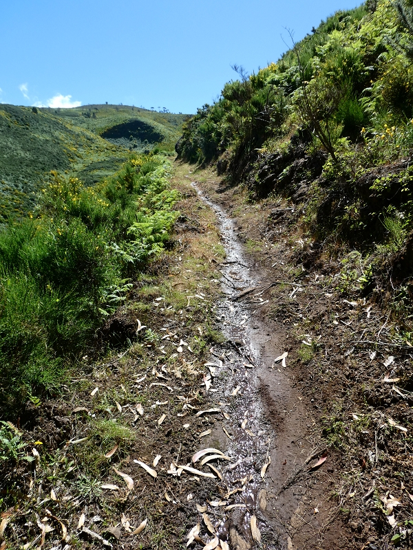 Levada dos Marinheiros — Entubado até ao reservatório — foto 2