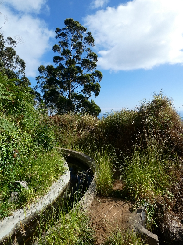 Levada Nova — Abschnitt zwischen Faja da Ovelha und Lombada dos Marinheiros — Foto 14