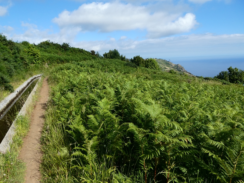 Levada Nova — Abschnitt zwischen Faja da Ovelha und Lombada dos Marinheiros — Foto 16
