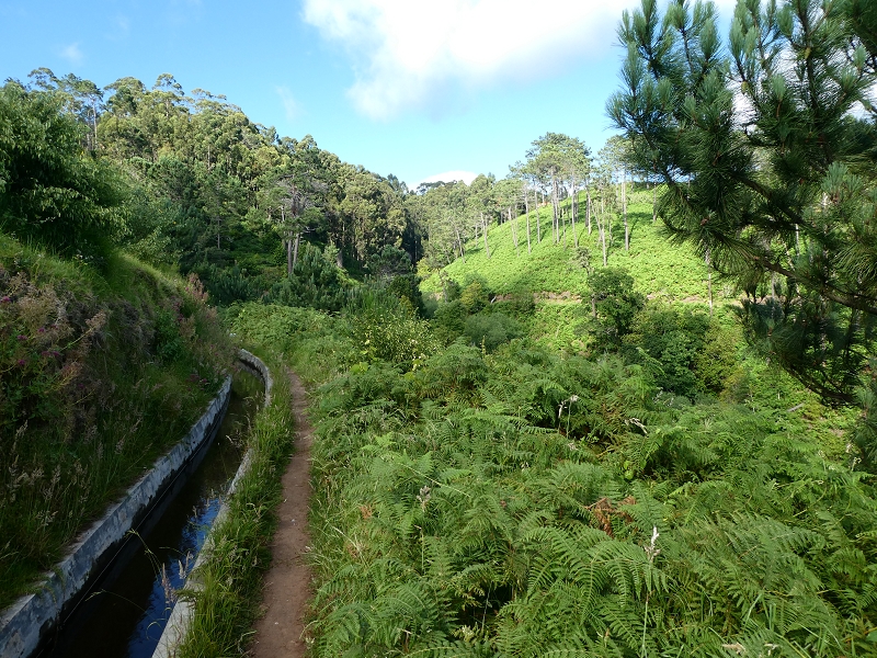 04.07.2018 Rundwanderung entlang und um die Levada dos Marinheiros — Zurück zum Ausgangspunkt — Foto 10
