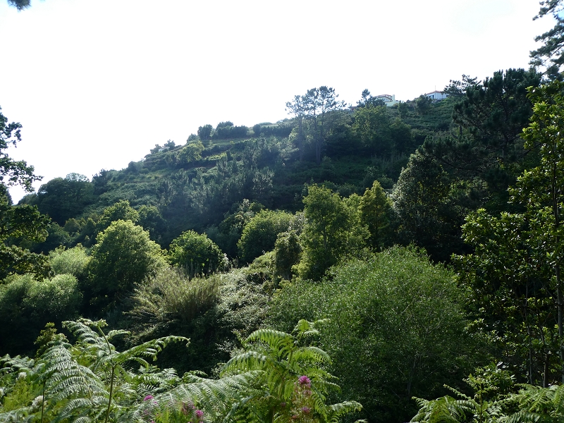 04.07.2018 Rundwanderung entlang und um die Levada dos Marinheiros — Zurück zum Ausgangspunkt — Foto 13