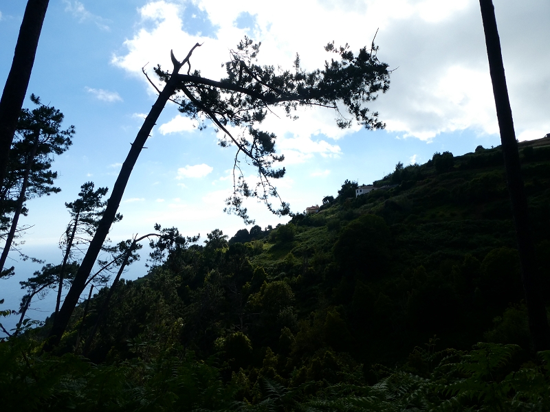 04.07.2018 Rundwanderung entlang und um die Levada dos Marinheiros — Zurück zum Ausgangspunkt — Foto 14