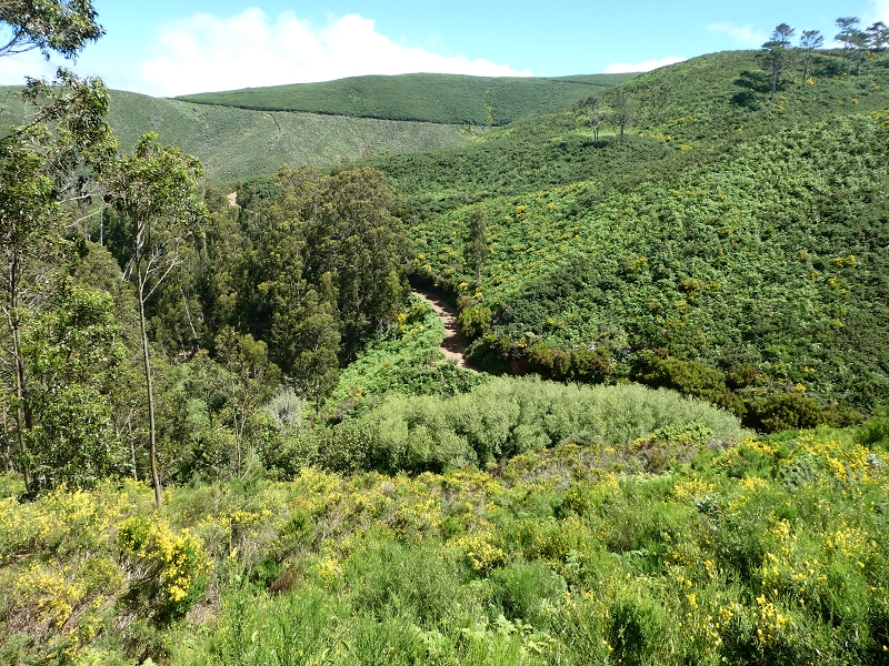 04.07.2018 Rundwanderung entlang und um die Levada dos Marinheiros — Entlang des verrohrten Abschnittes — Foto 7
