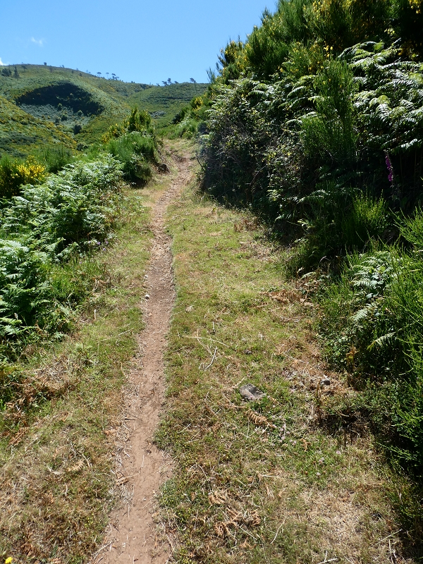 04.07.2018 Rundwanderung entlang und um die Levada dos Marinheiros — Entlang des verrohrten Abschnittes — Foto 8