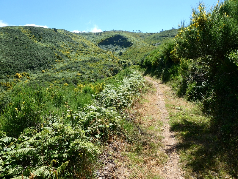 Levada dos Marinheiros — Entubado até ao reservatório — foto 1