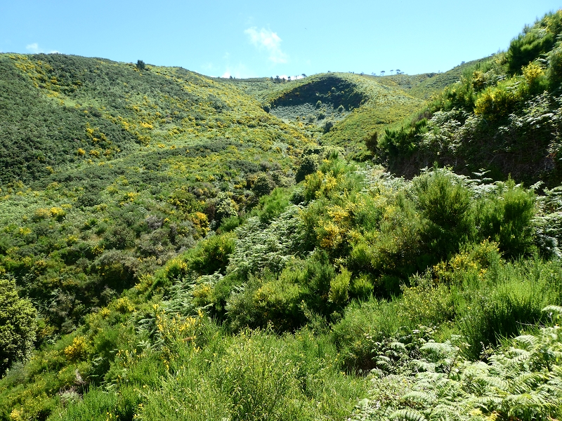 04.07.2018 Rundwanderung entlang und um die Levada dos Marinheiros — Entlang des verrohrten Abschnittes — Foto 10