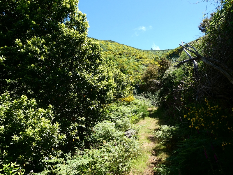 04.07.2018 Rundwanderung entlang und um die Levada dos Marinheiros — Entlang des verrohrten Abschnittes — Foto 14