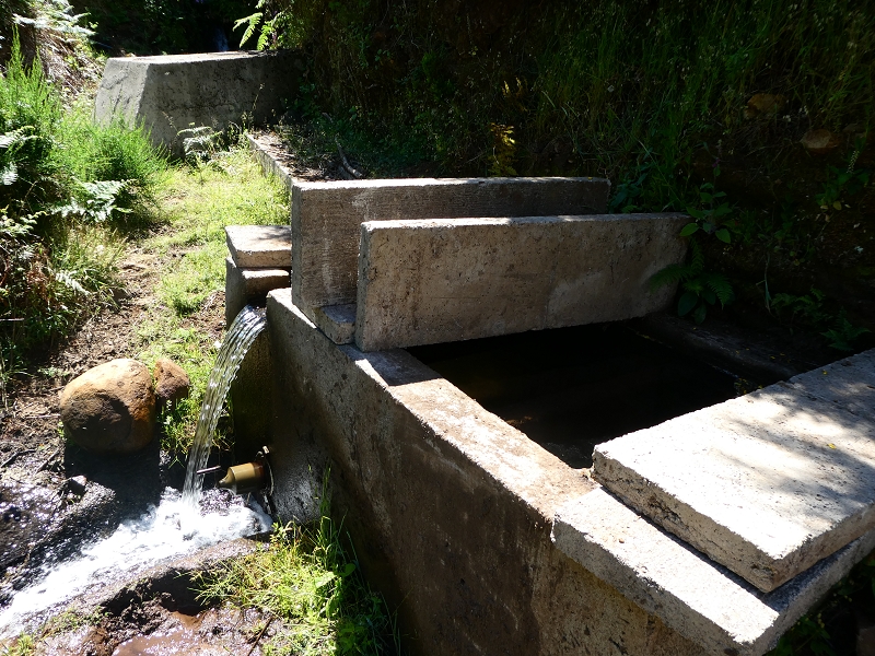 04.07.2018 Rundwanderung entlang und um die Levada dos Marinheiros — Kreuzung mit dem Ribeirinho da Roseira — Foto 2