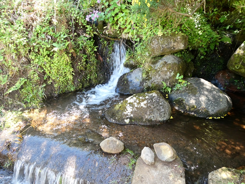 Levada dos Marinheiros — Cruzamento com o Ribeirinho da Roseira — foto 2