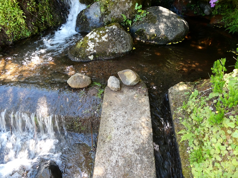 Levada dos Marinheiros — Cruzamento com o Ribeirinho da Roseira — foto 3