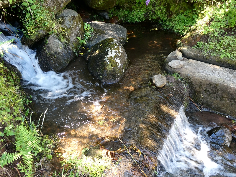 Levada dos Marinheiros — Cruzamento com o Ribeirinho da Roseira — foto 4