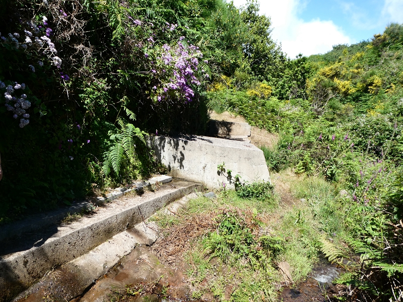 Levada dos Marinheiros — Cruzamento com o Ribeirinho da Roseira — foto 5
