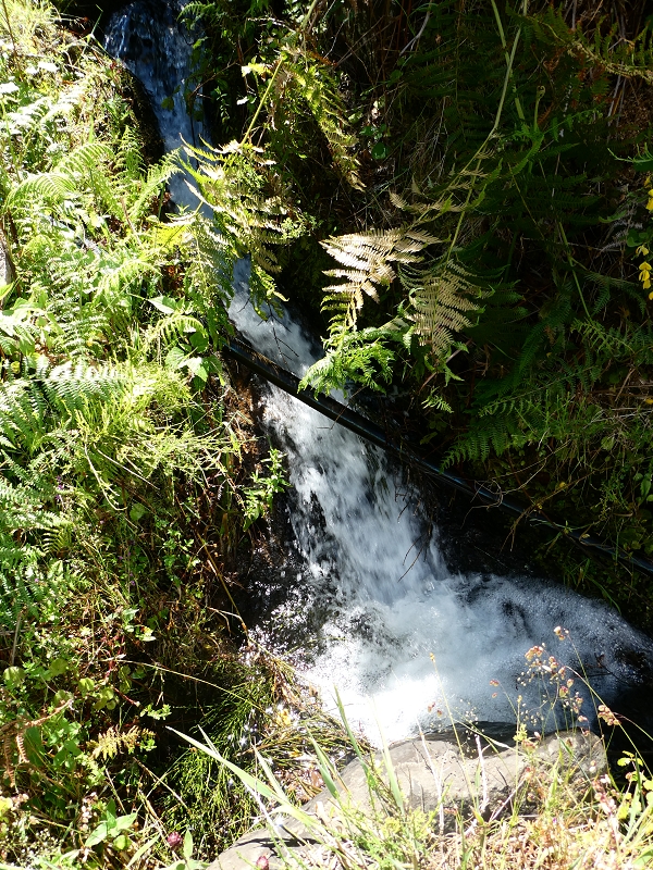 04.07.2018 Rundwanderung entlang und um die Levada dos Marinheiros — Kreuzung mit dem Ribeirinho da Roseira — Foto 8