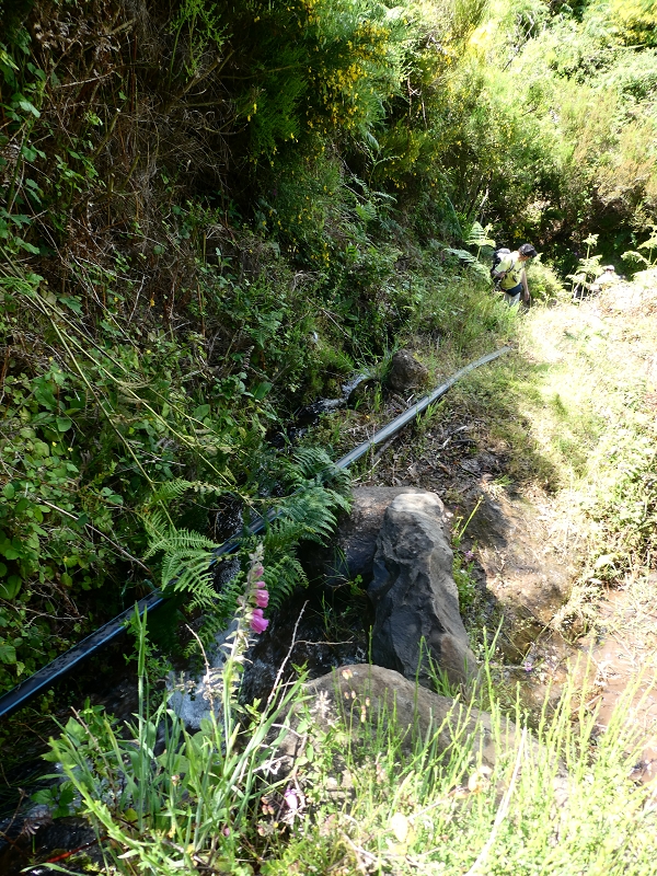 04.07.2018 Rundwanderung entlang und um die Levada dos Marinheiros — Kreuzung mit dem Ribeirinho da Roseira — Foto 9