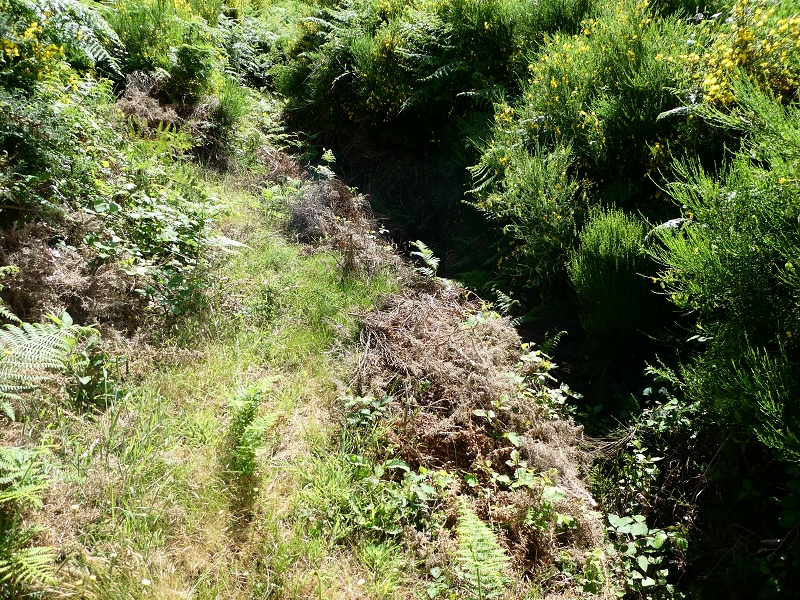 04.07.2018 Rundwanderung entlang und um die Levada dos Marinheiros — Aufstieg zur Kreuzung mit der Schotterpiste — Foto 1